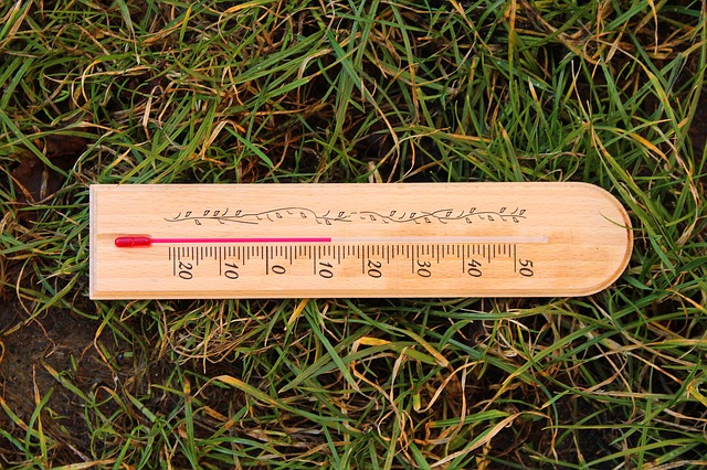 thermometer on grass
