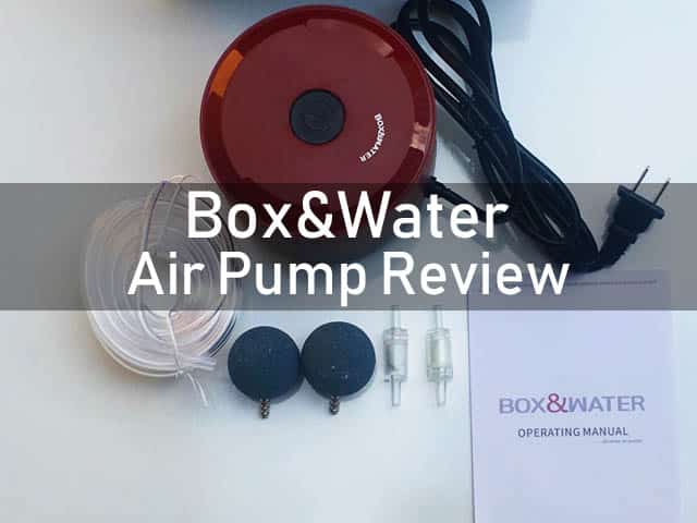 Box & Water Air Pump Review