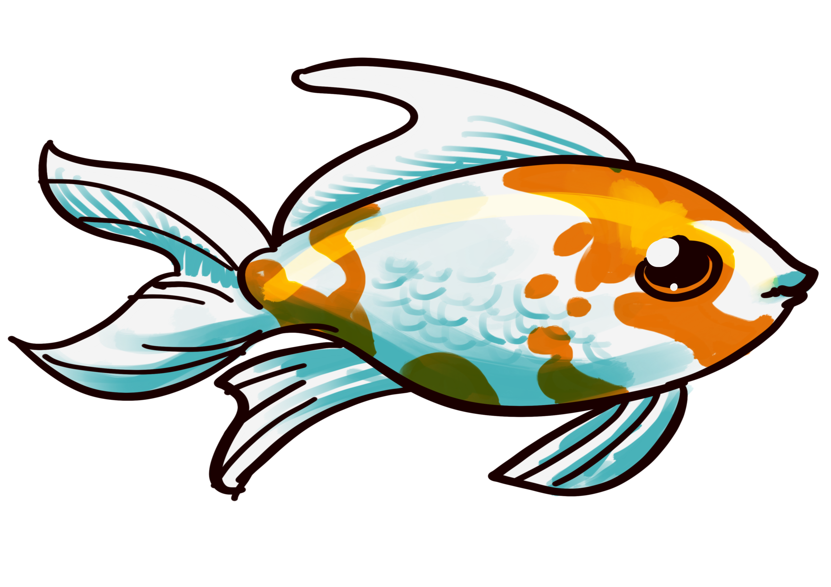 comet-goldfish-comet-goldfish-care-and-info