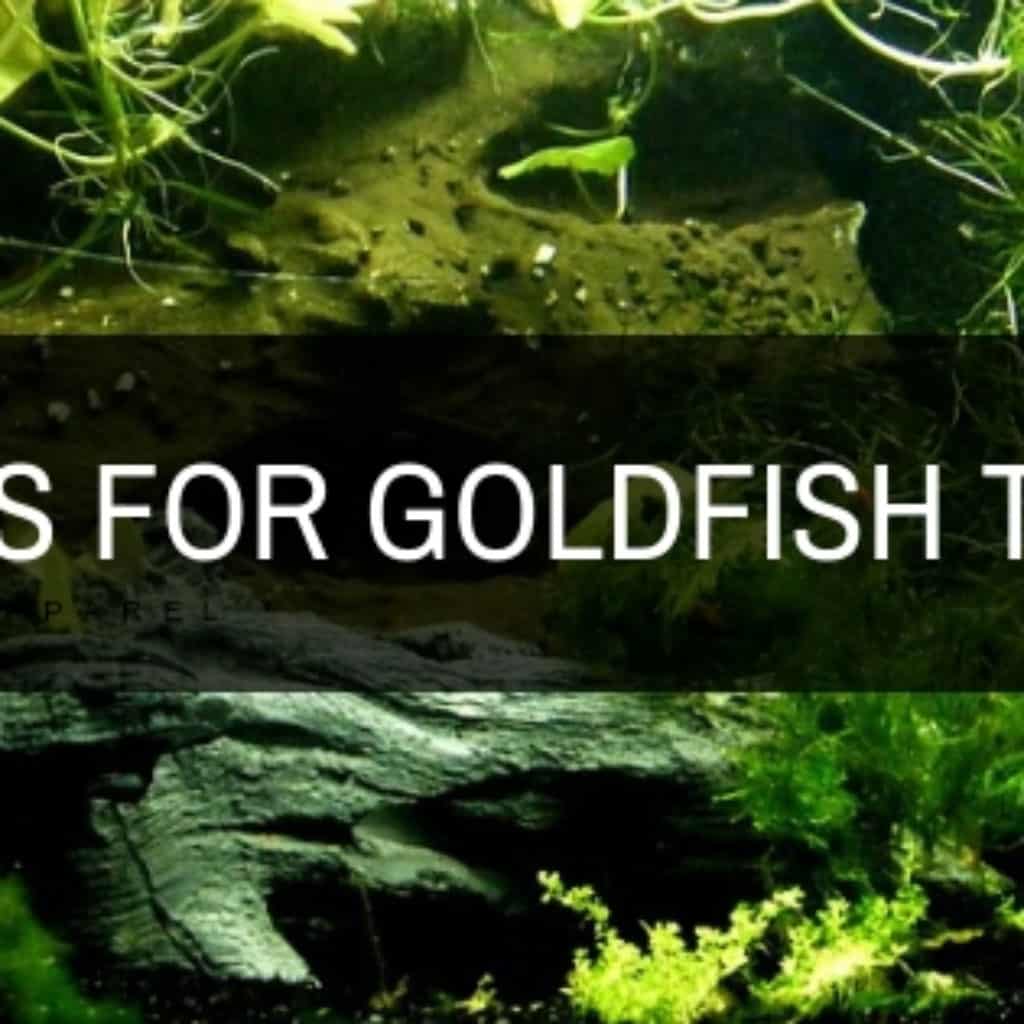 plants for goldfish tanks