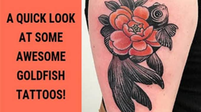 goldfish tattoos fi