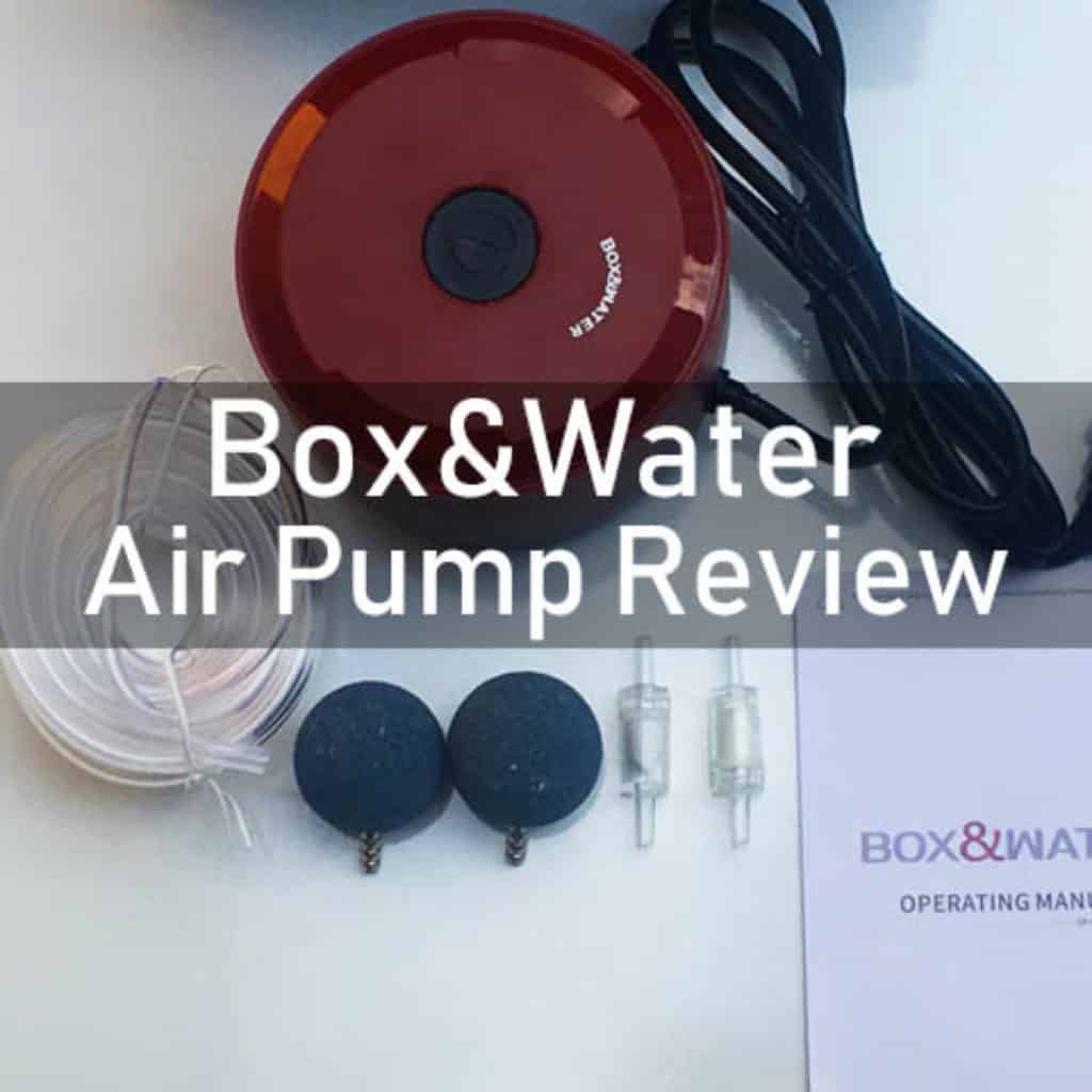 Box & Water Air Pump Review