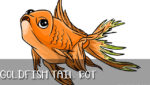 Fin Rot In Goldfish