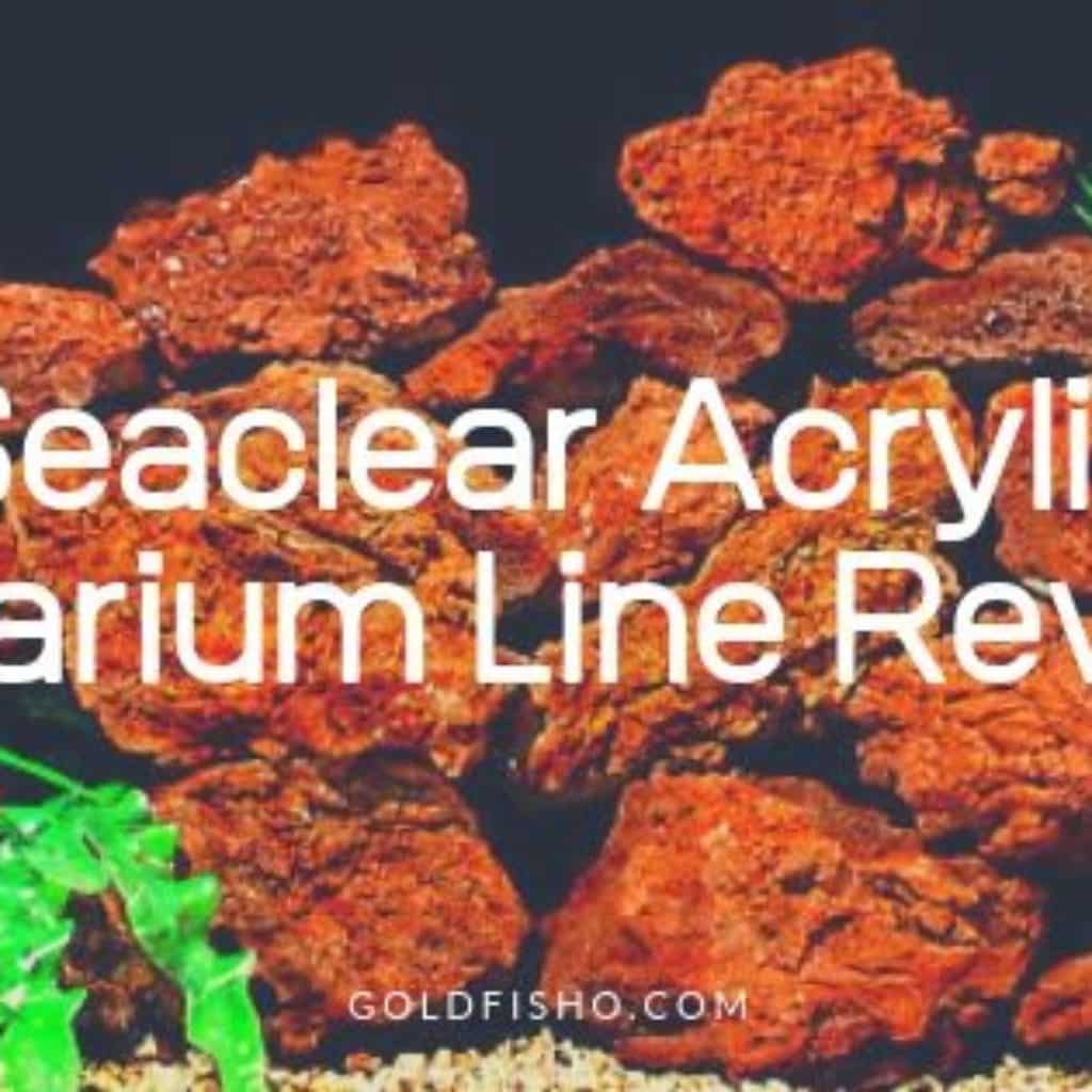 Seaclear Acrylic Aquarium Line Review