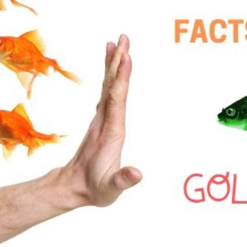 facts about goldfish