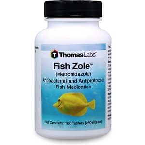 Metronidazole Antibacterial Fish Medication